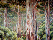 Click to enlarge study