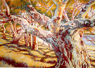 Click to enlarge study